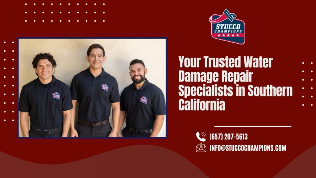 Water Damage Repair Specialists